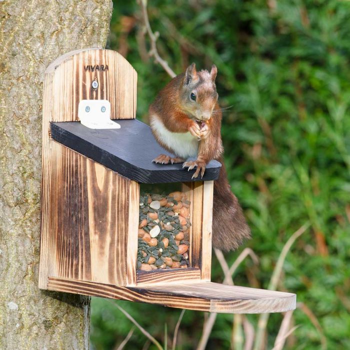 Eichhörnchen-Futterautomat Eichhörnchen Futterhaus- Geschenk für Oma