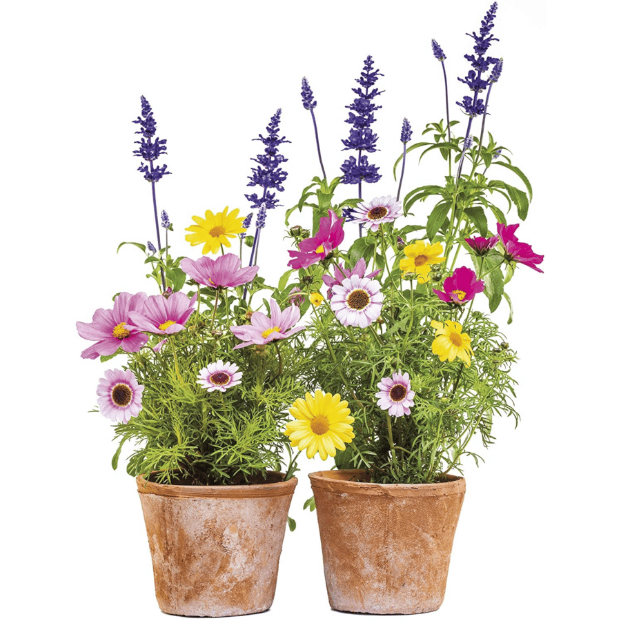 Fenstersticker Blumen - Geschenk für Oma