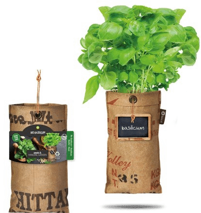 Mini Kräutergarten - Geschenk für Oma Geschenk für eine Frau von 75 Jahren - Mini Kräutergarten