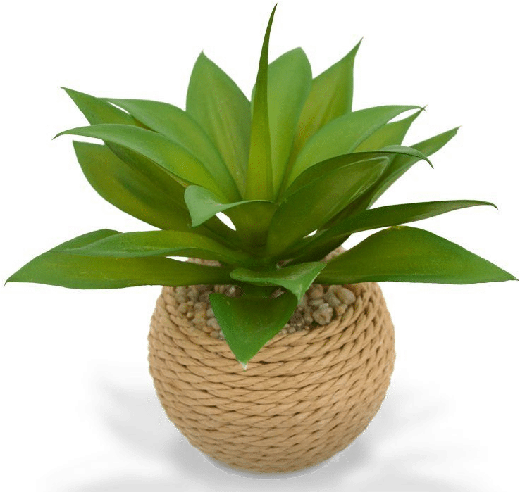 Künstliche Pflanzen - Kleine Agave