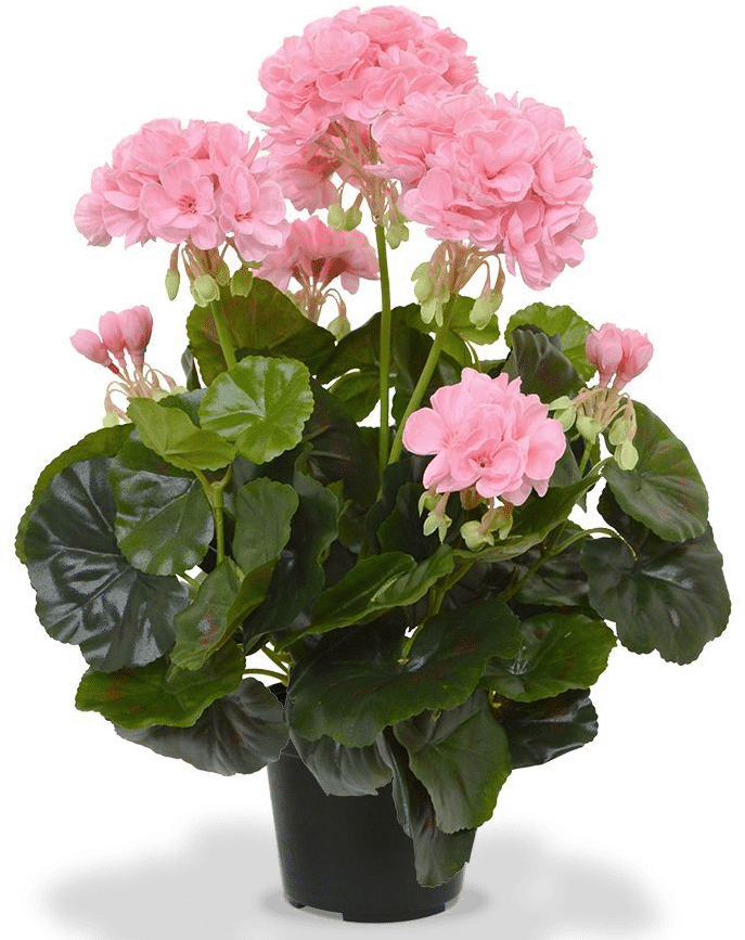 Kunstpflanzen - Geranien Kunstpflanze - Geschenk für eine ältere Dame